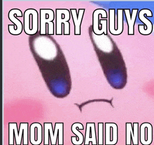 a picture of kirby with the words sorry guys mom said no below it