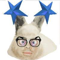 a rabbit with glasses and two blue stars on its head