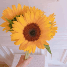 a person is holding a bunch of sunflowers in their hands .