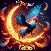 a colorful rooster is surrounded by flames and feathers and says museum bola