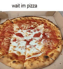 a pizza in a box with the words wait im pizza on the bottom