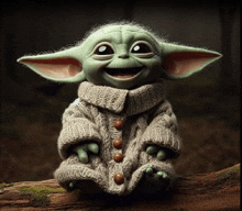 the child from star wars is wearing a sweater and smiling while sitting on a log .