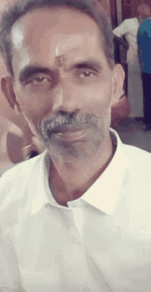 a man with a beard and a white shirt is smiling for the camera .