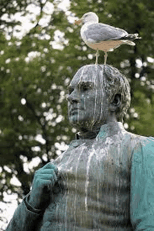 a statue of a man with a seagull perched on top of it .