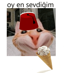 a cat wearing a red hat and an ice cream cone with the words oy en sevdigim above it