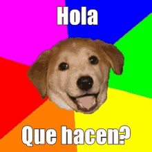 a picture of a dog with the words hola que hacen