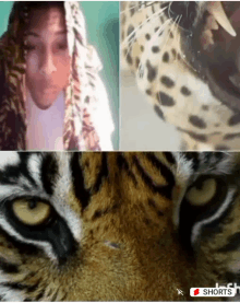 a woman with a scarf on her head and a close up of a leopard 's face