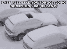 a picture of cars covered in snow with a caption that says " ever feel like you forgot to do something important "