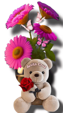 a teddy bear with anita cruz written on it holds a red rose