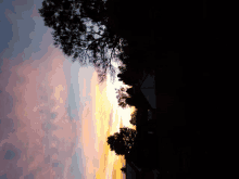 a tree silhouetted against a sunset sky