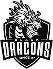 the black dragons logo is a black and white image of a dragon on a shield .