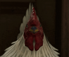 a close up of a rooster with a red crest