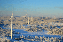 a row of wind turbines in the middle of a snowy field