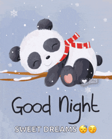 a panda bear wearing a scarf is sleeping on a tree branch with the words good night sweet dreams below it