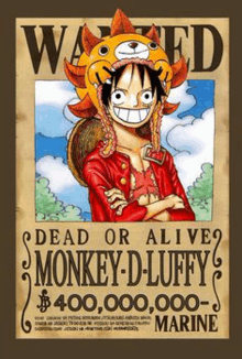 a wanted poster for monkey d luffy with a hat on