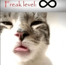 a close up of a cat 's face with its tongue out and the words `` freak level : infinity '' above it .