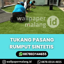 a poster for wallpaper malang id shows a group of men working on a lawn