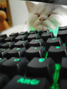 a close up of a keyboard with a green glowing alt key