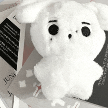 a white stuffed animal is sitting on top of a magazine with june written on it