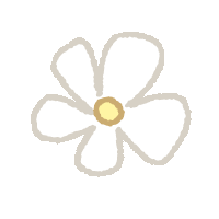 a drawing of a white flower with a yellow center on a white background