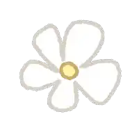 a drawing of a white flower with a yellow center on a white background