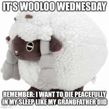 a stuffed sheep with the words it 's wooloo wednesday