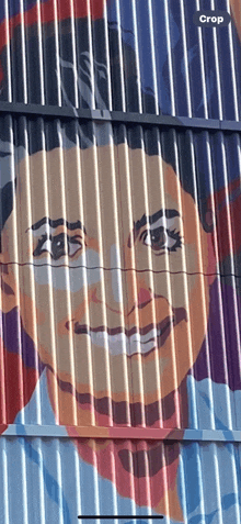 a woman 's face is painted on a metal wall with a crop button in the corner