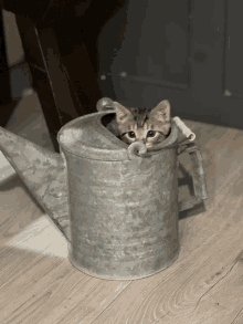 a kitten is sitting inside a metal watering can