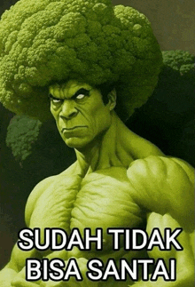 hulk with a cauliflower head and the words " sudah tidak bisa santai "