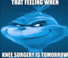 a picture of a grinch with a caption that says that feeling when knee surgery is tomorrow