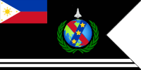 a flag with a shuttle flying over a globe