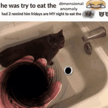 a black cat is sitting in a sink with a person 's hand .