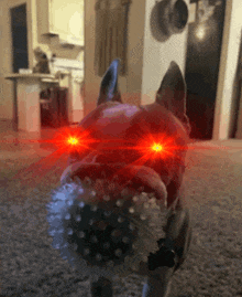 a dog with red eyes is holding a ball