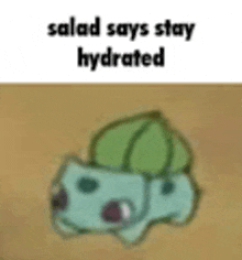 a salad says stay hydrated with a picture of a cartoon character with a leaf on its head .