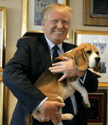 donald trump is holding a beagle in his arms and smiling .