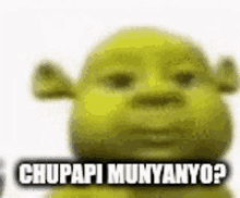 shrek from shrek is making a funny face and saying chupapi munyanyo .