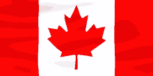 a red and white canadian flag with a red maple leaf on it