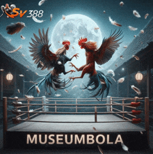 two roosters are fighting in a boxing ring under a full moon with museumbola written on the bottom