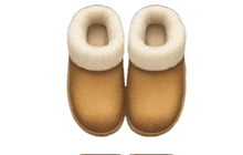 a pair of brown slippers with white cuffs