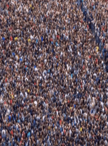 a large crowd of people gathered in a stadium with a blurred background