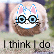 a picture of a cat with glasses and the words " i think i do "