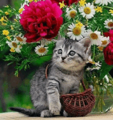 a kitten is sitting in front of a vase of flowers and holding a basket .