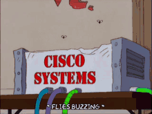 a sign that says cisco systems flies buzzing on it