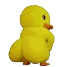 a yellow stuffed duck is standing on its hind legs .