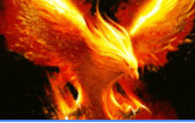 a painting of a phoenix surrounded by flames on a black background .