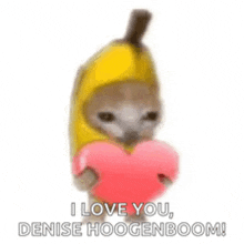 a cat wearing a banana costume is holding a heart .