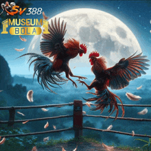 two roosters are fighting in front of a full moon with a museum bola logo