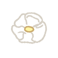 a drawing of a white flower with a yellow center on a white background