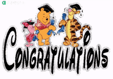 a congratulations sign with winnie the pooh piglet and tiger