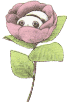 a drawing of a panda bear in a pink flower